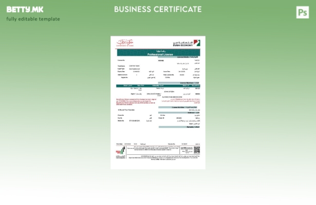 модерен стил ОАЕ Дубаи професионална лиценца на компанијата Word и PDF шаблон, ш